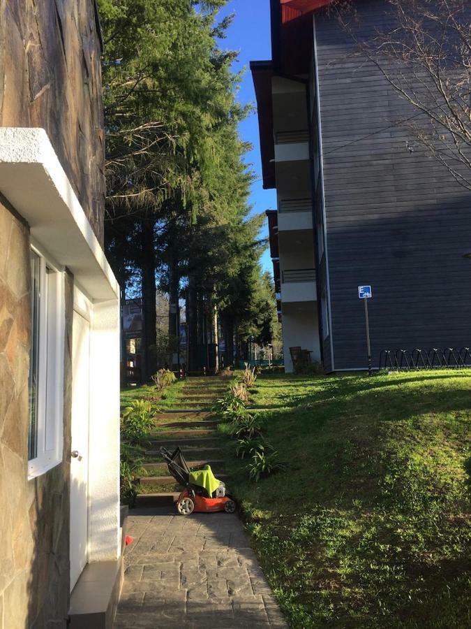 Condominio Robles Camino Al Volcan Pucon Bagian luar foto